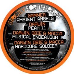 Download Gammer Darwin Obie Macca - Ambient Angels Peak 11 Musical Endeavour Hardcore Soldier
