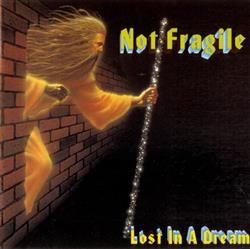 Download Not Fragile - Lost In A Dream