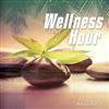 baixar álbum Various - Wellness Hour Volume 1