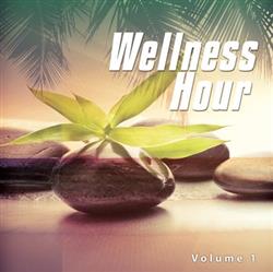 Download Various - Wellness Hour Volume 1