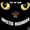 baixar álbum Infected Mushroom - See Me Now