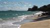 télécharger l'album Lewis - Hawaiian Breeze