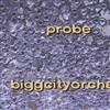 descargar álbum Biggcityorche - Probe