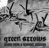 lataa albumi Green Arrows - Rising From A Burning Desease