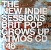 Album herunterladen Unknown Artist - The New Indie Sessions Brit Pop Grows Up