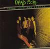 baixar álbum Dead Boys - Young Loud And Snotty
