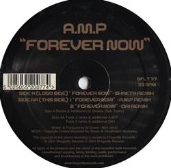 Download AMP - Forever Now