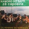 télécharger l'album Zé Capoeira E Os Meninos Do Nordeste - Namoro do Sapo