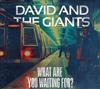 descargar álbum David & The Giants - What Are You Waiting For
