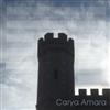 Carya Amara - From Ground to Sky