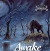 descargar álbum The Darkening - Awake