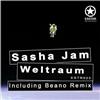 lyssna på nätet Sasha Jam - Weltraum