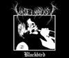 last ned album Unseen Abyss - Blackbird