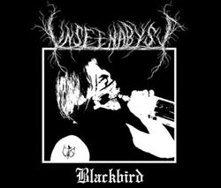 Download Unseen Abyss - Blackbird