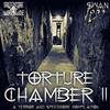 écouter en ligne Various - Torture Chamber II