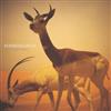 last ned album Kosheen - Catch Francis James Instrumental Mix
