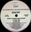 last ned album Soultry - Where Do Broken Hearts Belong Ill Get Mine Remixes