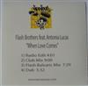 baixar álbum Flash Brothers Feat Antonia Lucas - When Love Comes