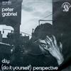 last ned album Peter Gabriel - DIY Do It Yourself Perspective