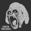 descargar álbum Youth Violence - ST