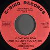 baixar álbum James Becton - I Love You Now And Ill Love You Later