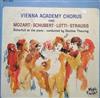 baixar álbum Vienna Academy Chorus, Günther Theuring - Mozart Schubert Lotti Strauss