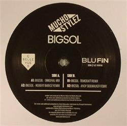 Download Mucho Stylez - Bigsol