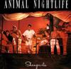 Animal Nightlife - Shangri La