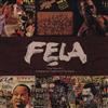télécharger l'album Fela - Vinyl Box Set 1