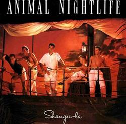 Download Animal Nightlife - Shangri La