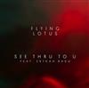 Album herunterladen Flying Lotus Feat Erykah Badu - See Thru To U