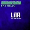 lyssna på nätet Andrew Noize - Say Hello