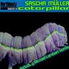 last ned album Sascha Müller - Caterpillar