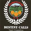 descargar álbum Aggroculture US - Destiny Calls