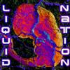 lataa albumi Liquid Nation - Liquid Nation