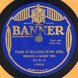 Download Wellings & McGhee Trio - There Is Sunshine In My Soul The Haven Of Rest