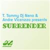 descargar álbum T Tommy DJ Nano & Andre Vicenzzo - Surrender