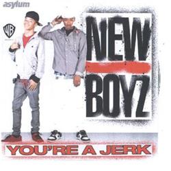 Download New Boyz - Youre A Jerk