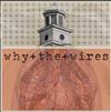 écouter en ligne Why The Wires - All These Dead Astronauts
