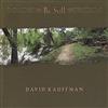 last ned album David Kauffman - Be Still