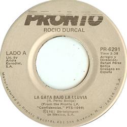 Download Rocio Durcal - La Gata Bajo La Lluvia