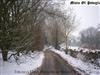 ladda ner album Mists Of Poveglia - Through Dark Meadows Winter Forests