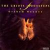 baixar álbum Graham Haynes - The Griots Footsteps