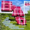 Album herunterladen Various - Bravo Hits 65
