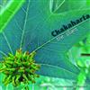 Chakaharta - The Plant
