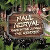 Album herunterladen Paul Norval - Rave In The Jungle The Remixes