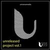 ouvir online Various - Unreleased Project Vol1