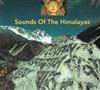 lytte på nettet Unknown Artist - Sounds Of The Himalayas