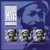 last ned album Marvin Gaye - Soul Collection