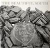 baixar álbum The Beautiful South - Stone In Love With You